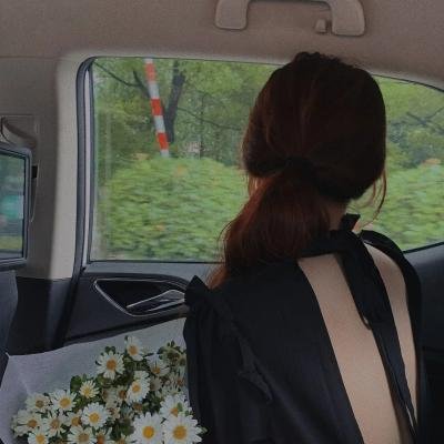 花系列：一