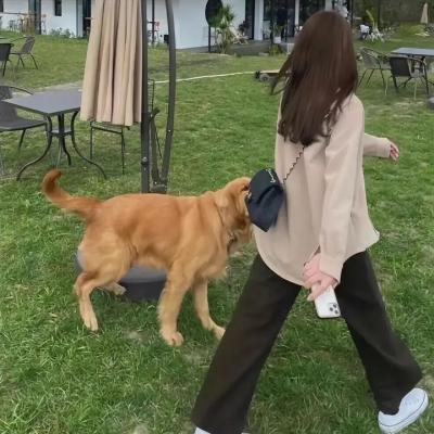 安纳莉